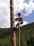 Spar pole climbing